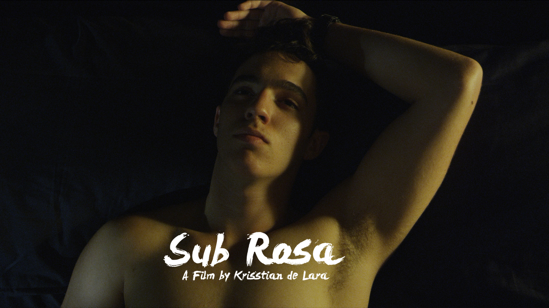Sub Rosa Feature Banner
